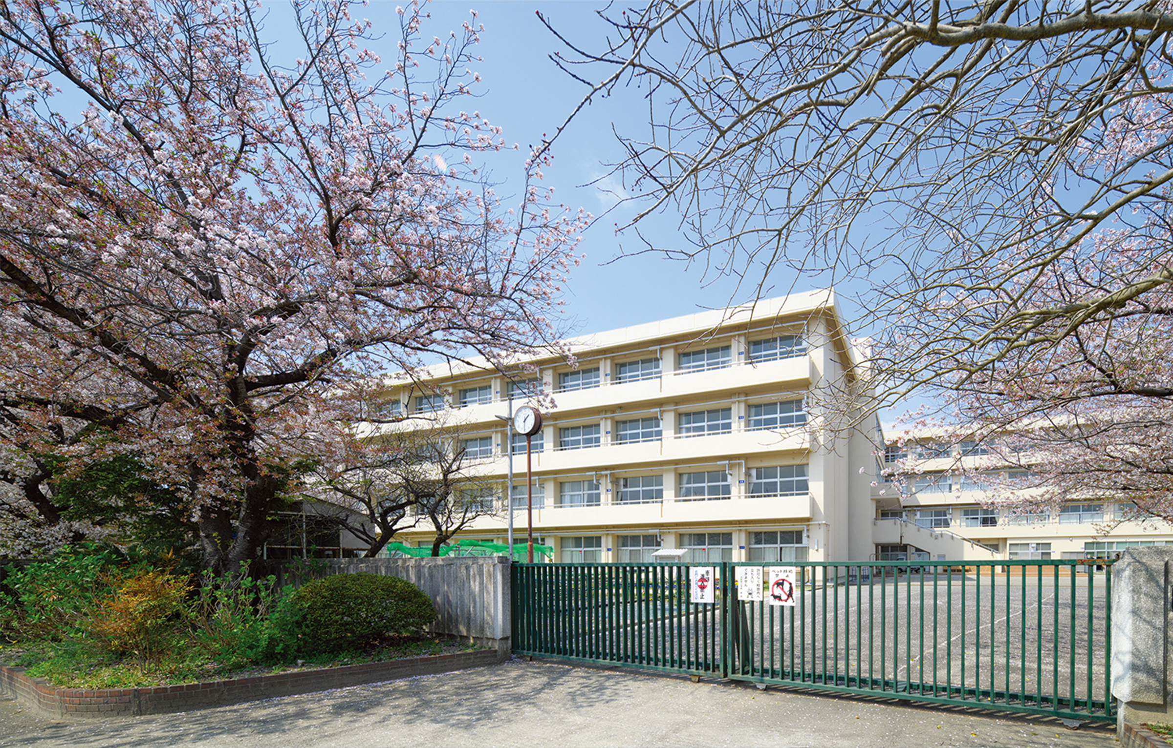 岡崎市立小豆坂小学校(約680m/徒歩9分)