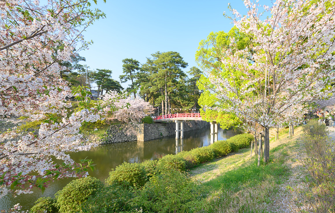 岡崎公園（約4,100m／自動車7分）